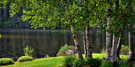 Shows landscaping in front of a pond.