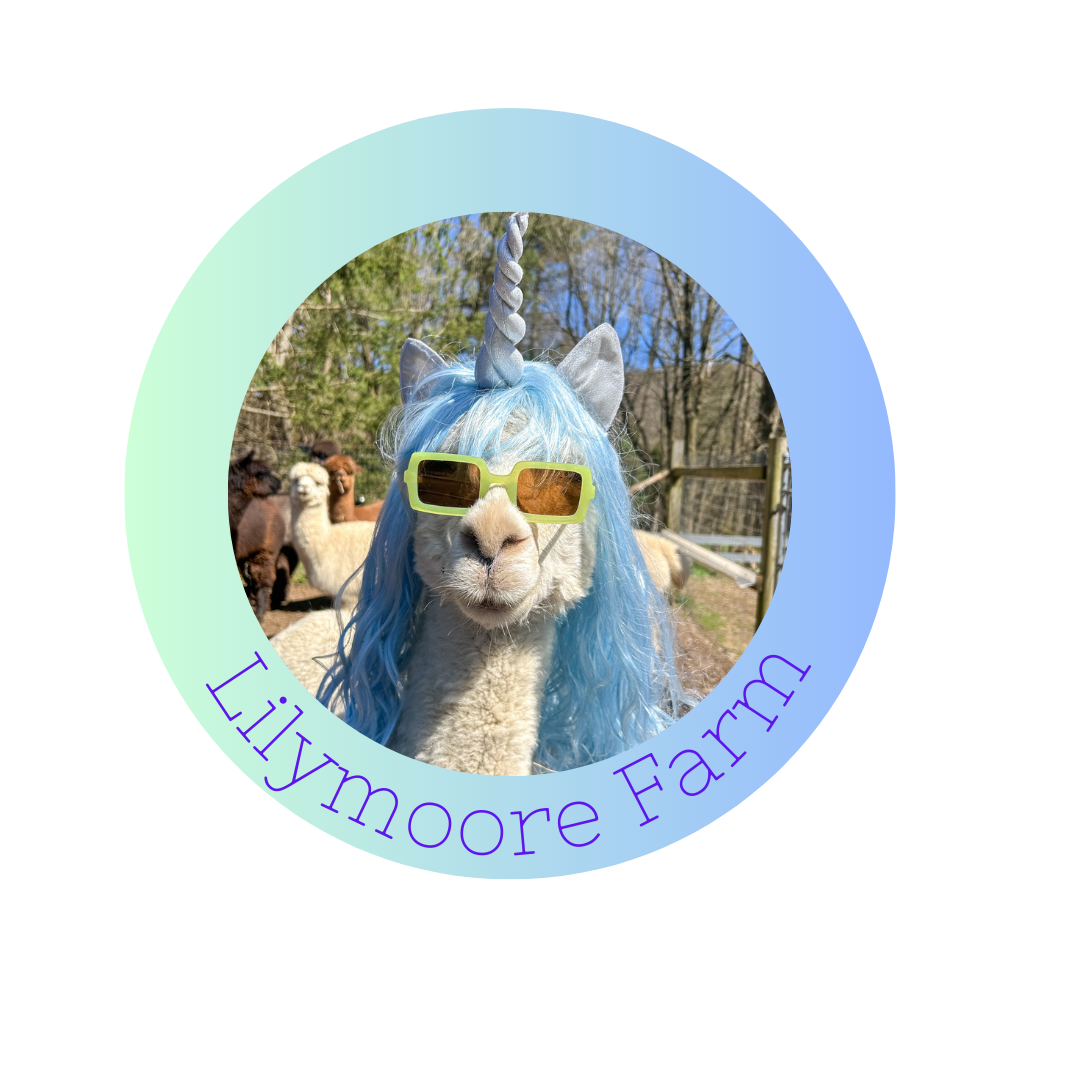 Lilymoore Alpaca Magnets