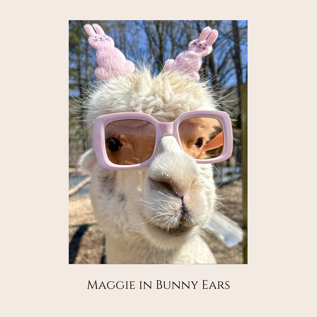 Farm Animal Greeting Cards