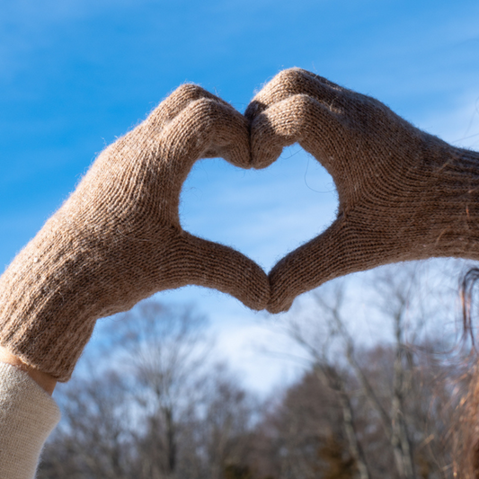 Alpaca Unisex Knit Gloves