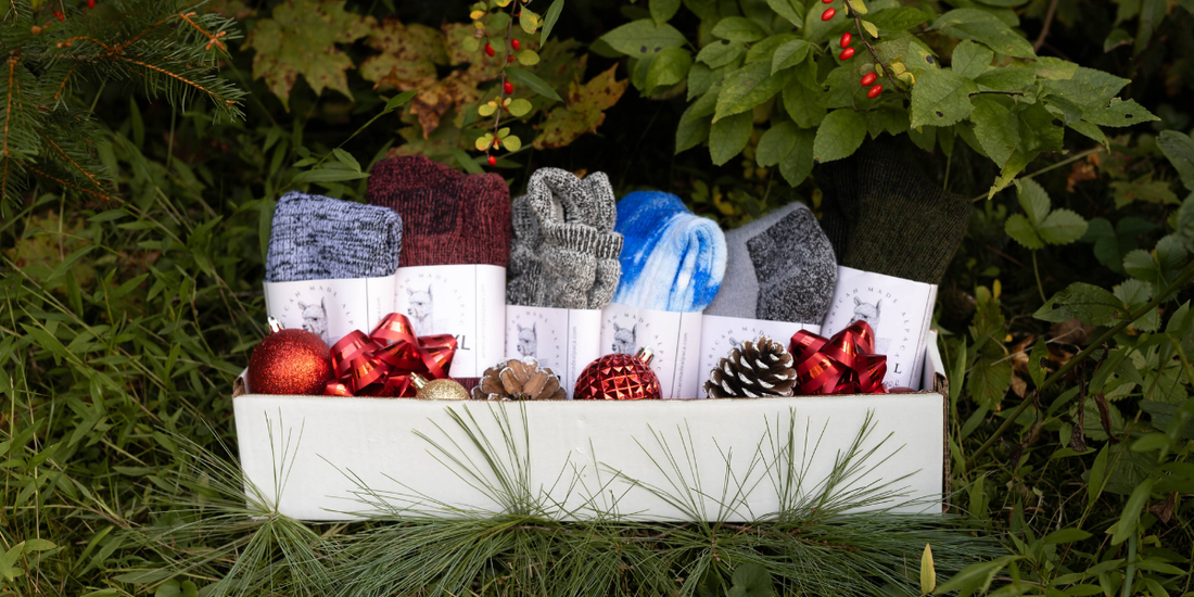 Best Gifts for Sock Lovers