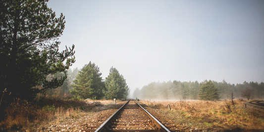 Train tracks running through a field with pine trees 
