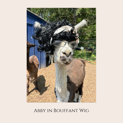 Farm Animal Greeting Cards