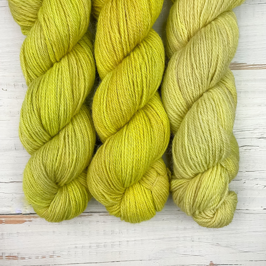 Begonia AMA Sport Weight Yarn