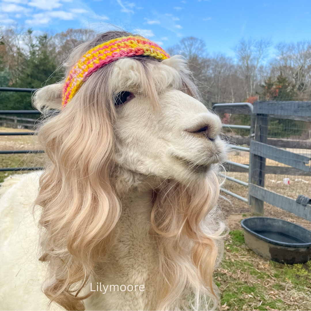 Tulip Fields Bulky Yarn