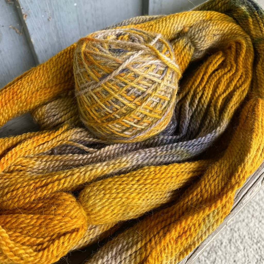 Snail Hand Dyed DK Yarn