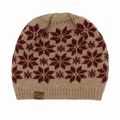 Frosty Slouch Beanie