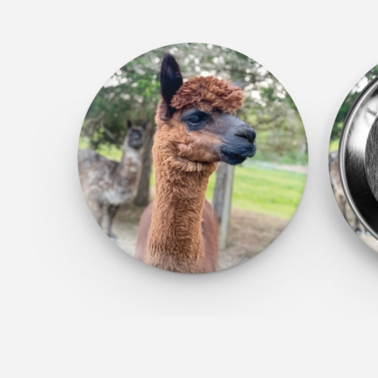 Lilymoore Pins