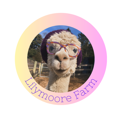 Lilymoore Alpaca Magnets