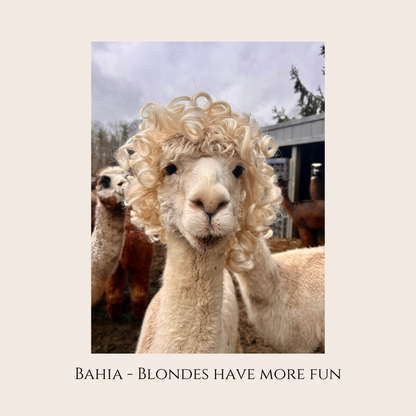 Farm Animal Greeting Cards