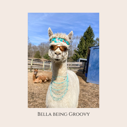 Farm Animal Greeting Cards