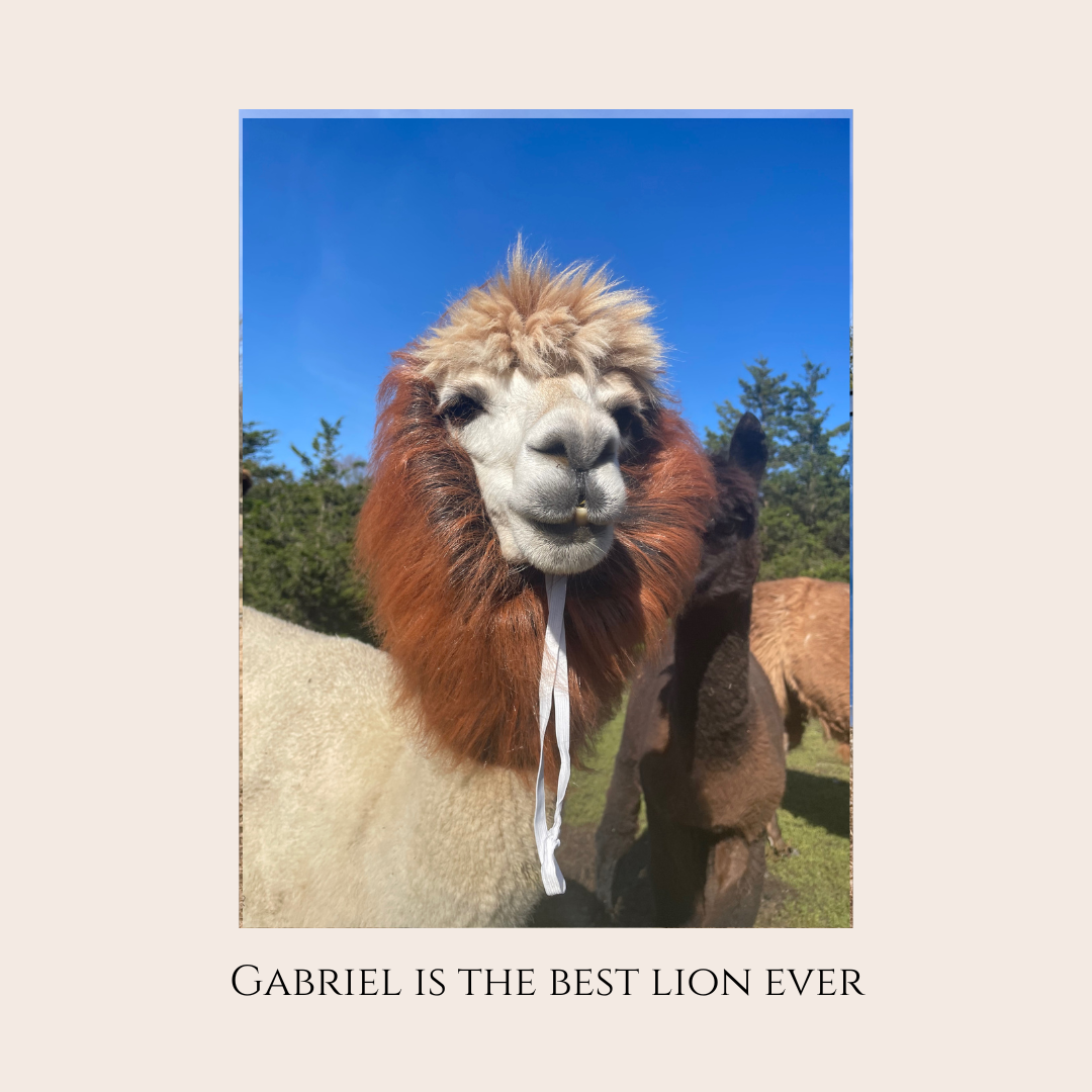 Farm Animal Greeting Cards