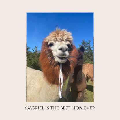 Farm Animal Greeting Cards