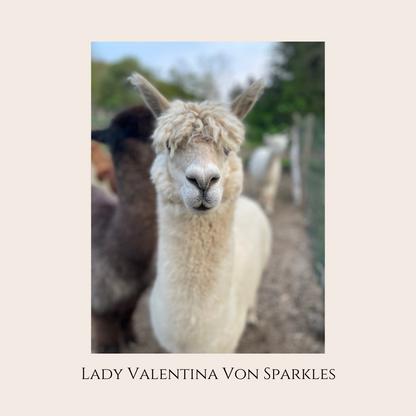 Farm Animal Greeting Cards