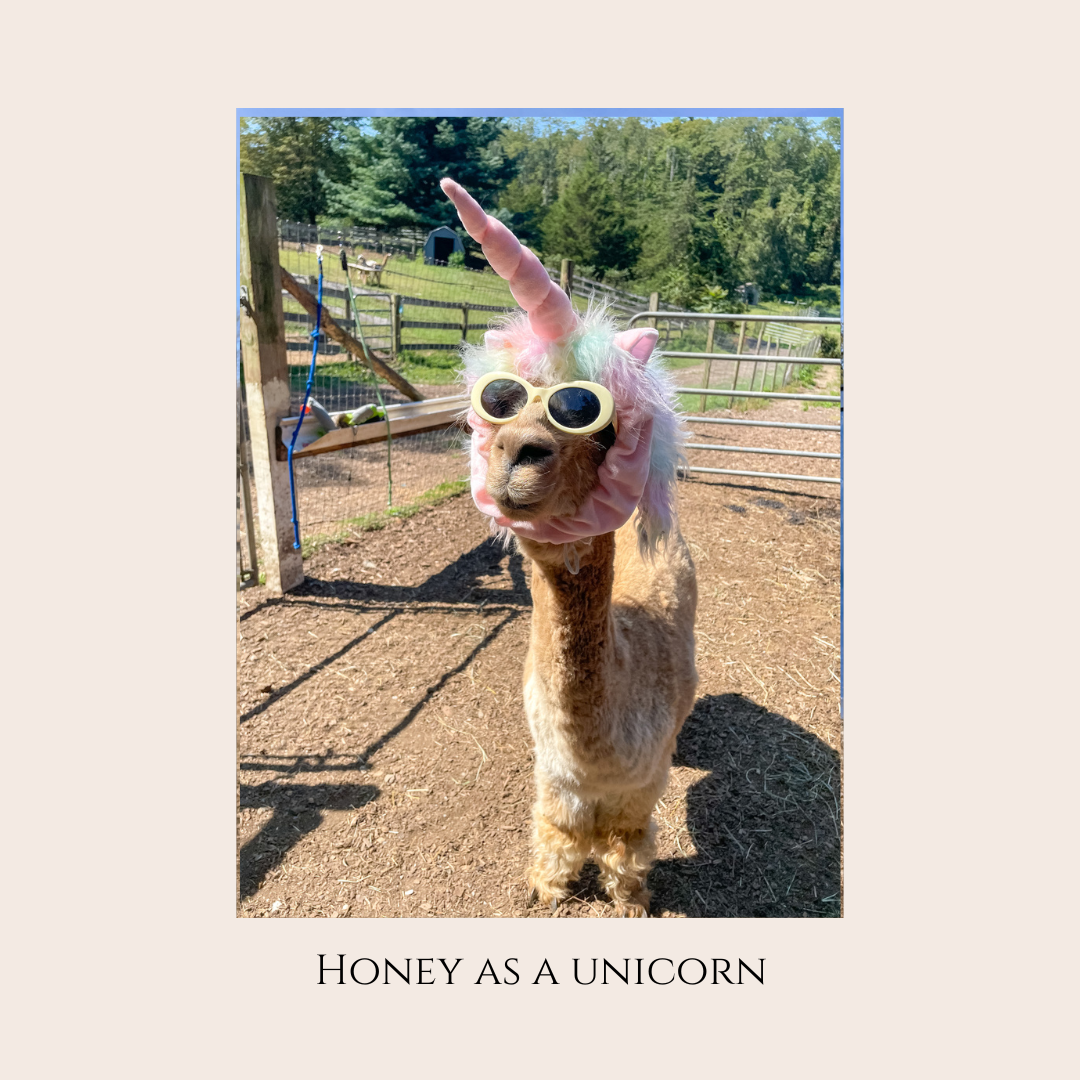 Farm Animal Greeting Cards