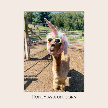 Farm Animal Greeting Cards