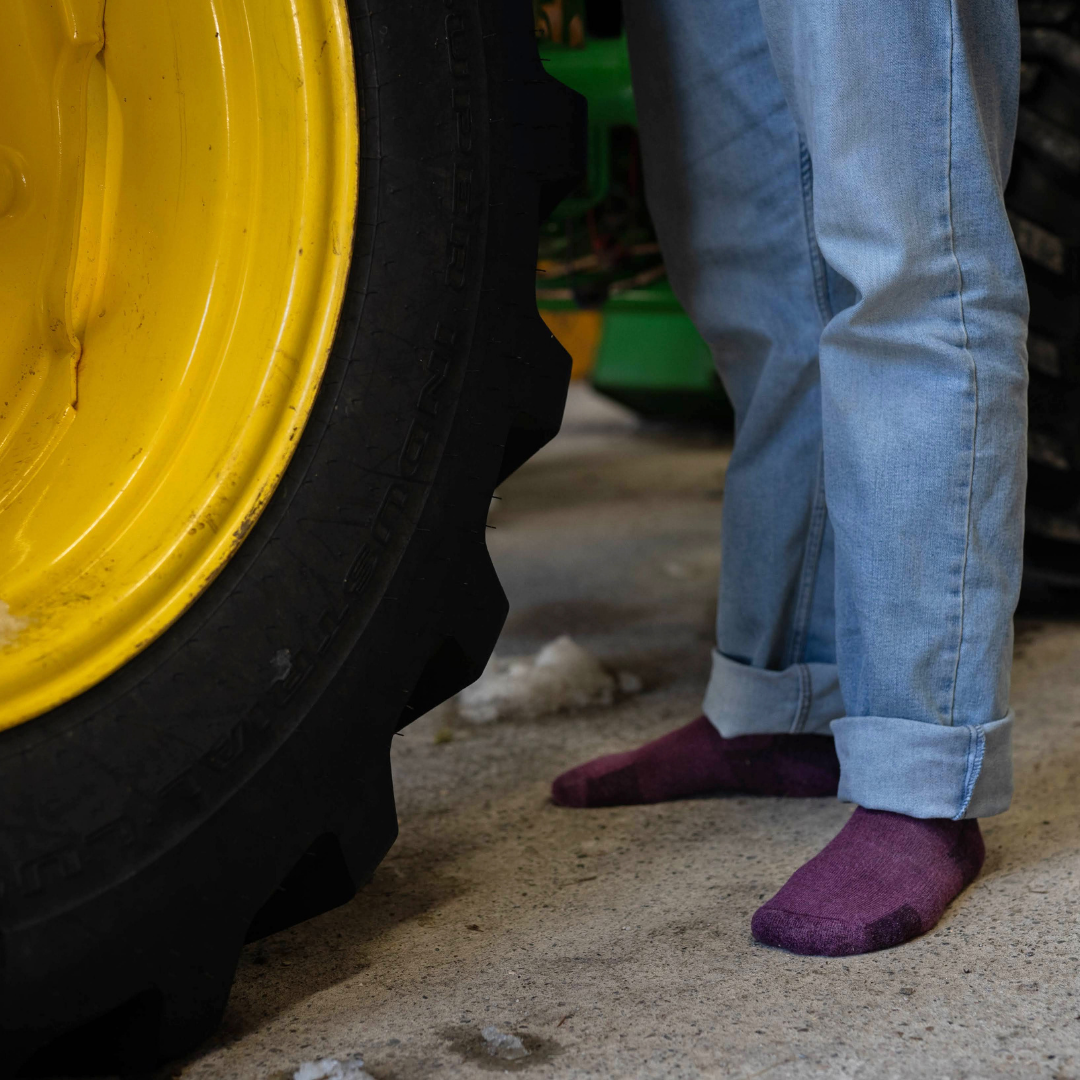 Quigley Alpaca Crew Socks A Medium To Lighter Weight Sock