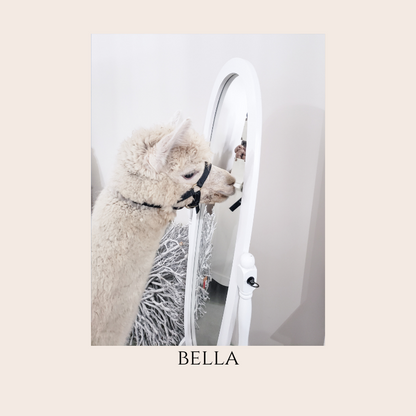 Farm Animal Greeting Cards