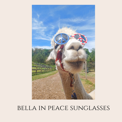 Farm Animal Greeting Cards